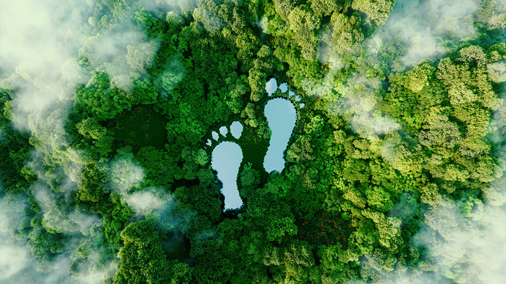 footprint_landing