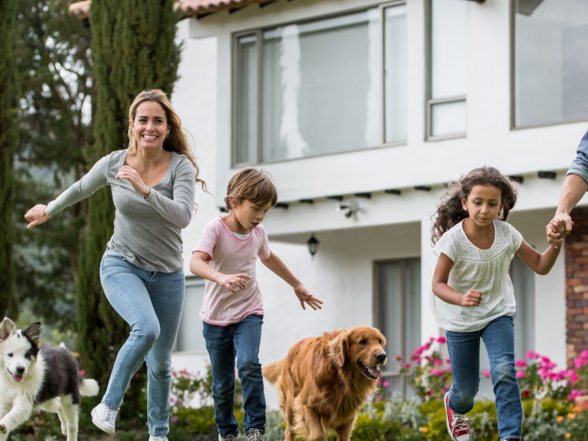 assicurazione animali domestici