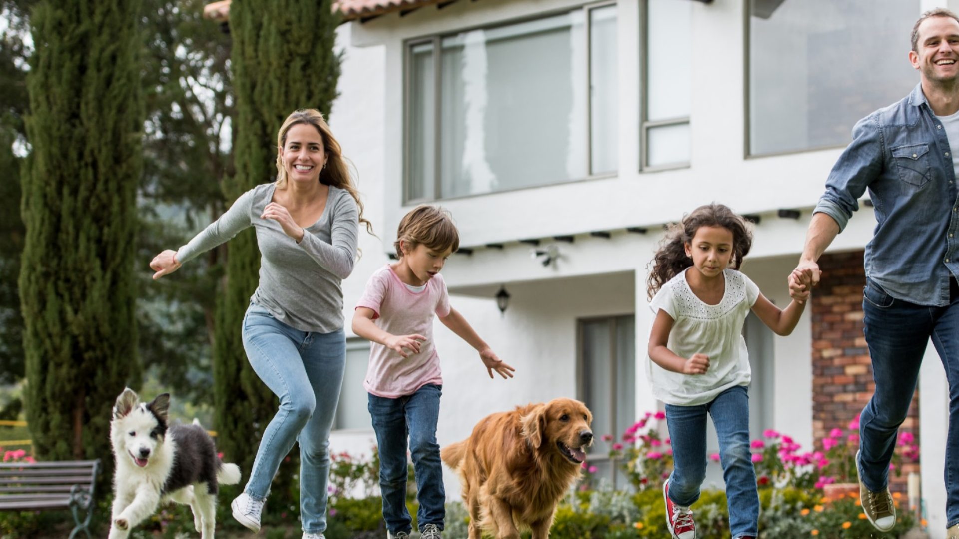 assicurazione animali domestici
