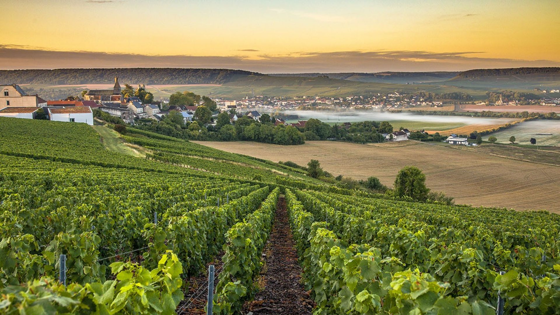 viaggio champagne francia