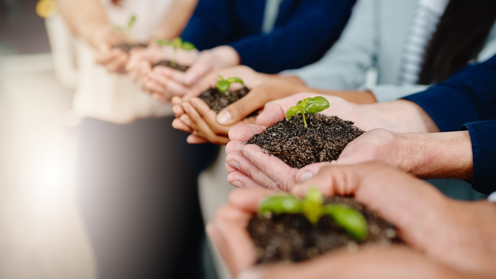 nachhaltigkeit_schutzwald